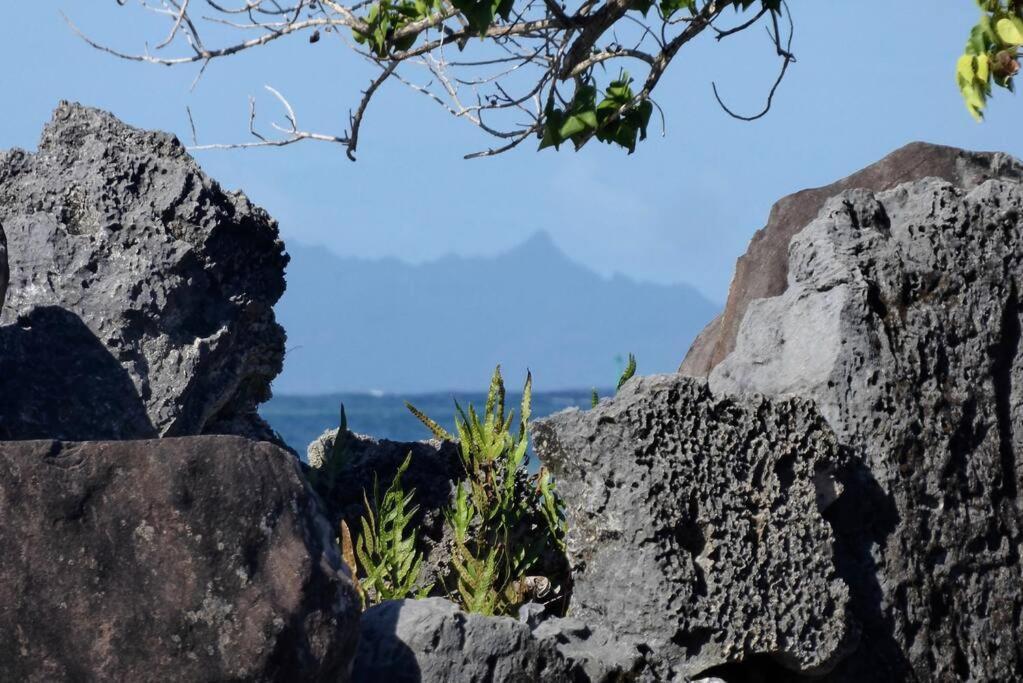 Raiatea, Opoa, Studio Du Fare Reve, Acces Mer Privatif Dış mekan fotoğraf