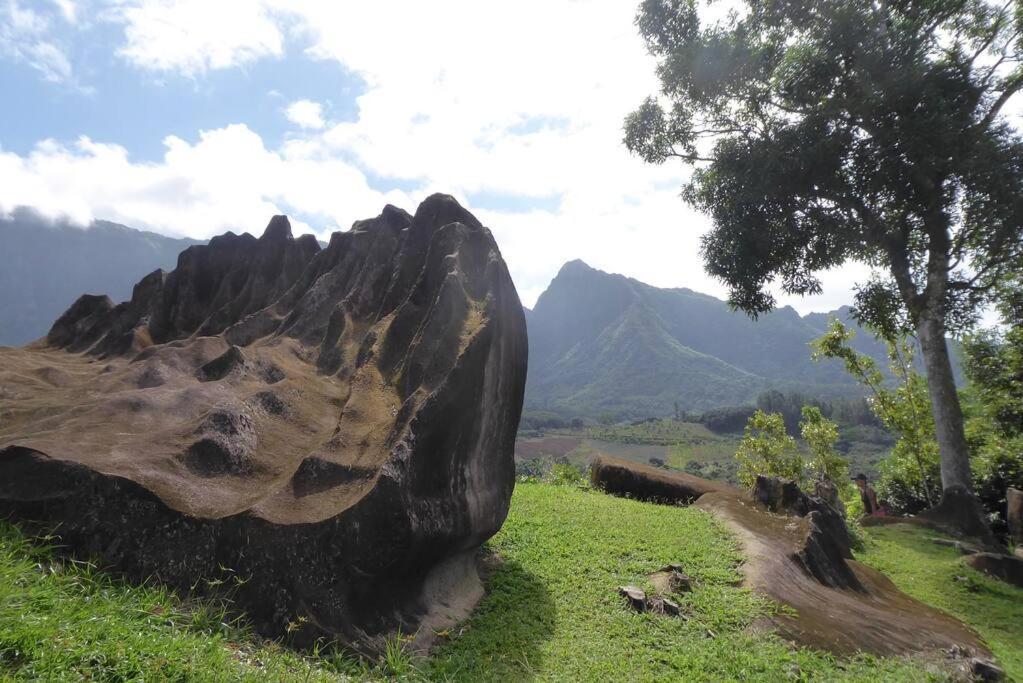 Raiatea, Opoa, Studio Du Fare Reve, Acces Mer Privatif Dış mekan fotoğraf
