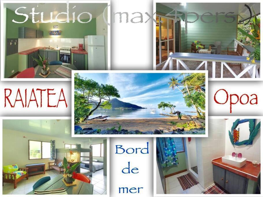 Raiatea, Opoa, Studio Du Fare Reve, Acces Mer Privatif Dış mekan fotoğraf