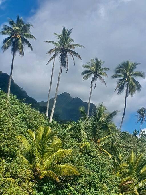 Raiatea, Opoa, Studio Du Fare Reve, Acces Mer Privatif Dış mekan fotoğraf